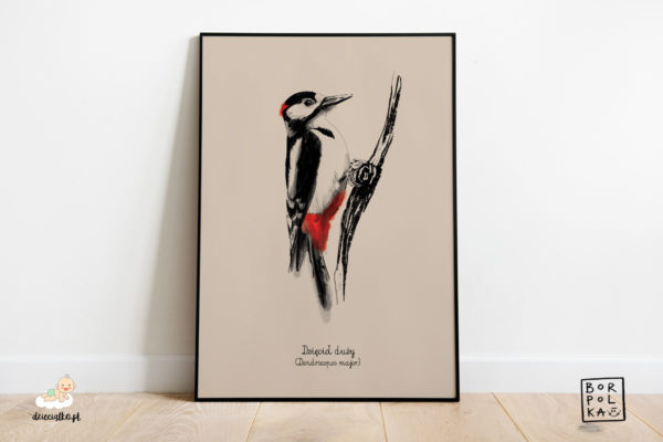 narysowany dzięcioł duży – artystyczny plakat